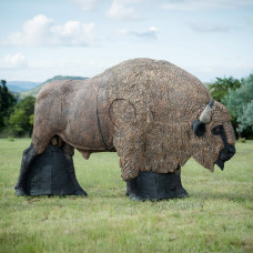 Wildcrete European Bison (Wisent)